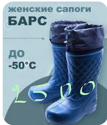 Другое для охоты и рыбалки: Минус 20 градусов сапоги эва любителям зимней рыбалки и охоты — 3