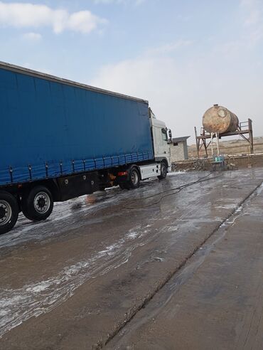 Тягачи: Тягач, DAF, 2013 г., Шторный — 12