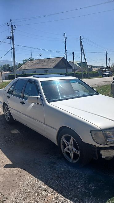 vip razbor: Mercedes-Benz S-Class: 1995 г., 3.2 л, Автомат, Бензин, Седан — 1