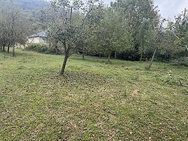 ramani evlər: 4 sot, Tikinti, Kupça (Çıxarış), Texniki pasport — 1