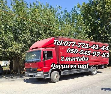 telefon şəmkir: Yükdaşıma xidməti – Mercedes-Benz Atego maşını ilə - Daşıma növü — 1