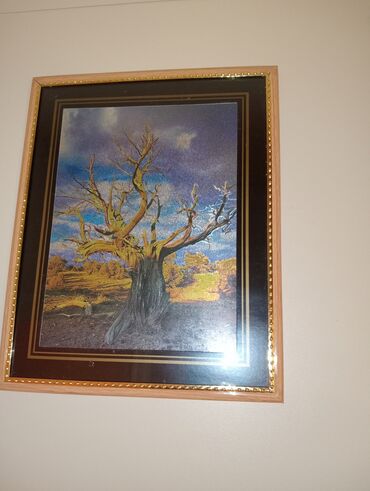 Şəkillər, tablolar: Şəkilli çərçivə, şəkilləri deyişdirmek olmur. ancaq divardan asıla — 8