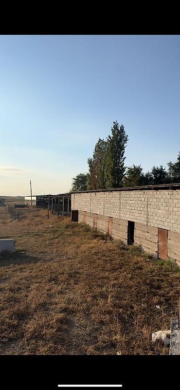 оптовый товар: Farm КРС, 97 соток, Действующий, Частично с оборудованием, Электричество, Скважина — 3