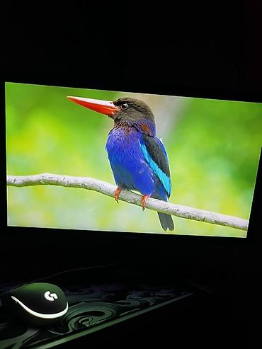 60x60 led panel: Viva 24" LED monitor: HDMİ giriş destekleyir qutusu,Adapteri,HDMİ — 4