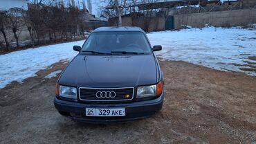 сапок идеал: Audi 100: 1991 г., 2 л, Механика, Бензин, Седан