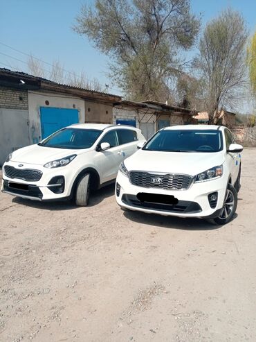Kia: Kia Sorento: 2019 г., 2 л, Автомат, Дизель, Внедорожник