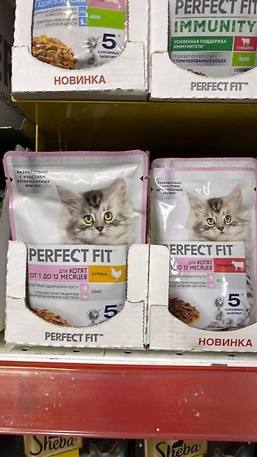 сухой поек: Цена указана за 1КГ!!! Royal Canin — сухие корма для кошек, фасовка — 9