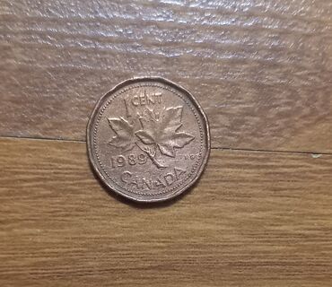 Монеты: 1 Kanada ve Abş centi. Bronz Centlerdir. Kohnenin puludur. Heresi 5