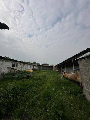 Сельхоз предприятия: САТЫЛАТ — ӨНӨР ЖАЙ УЧАСТОГУ / БАЗА — 24