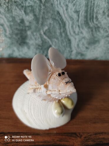 Аквариумы: Водоросли живые: Анубиас Бартера нана ( цветёт белыми и розовыми — 8