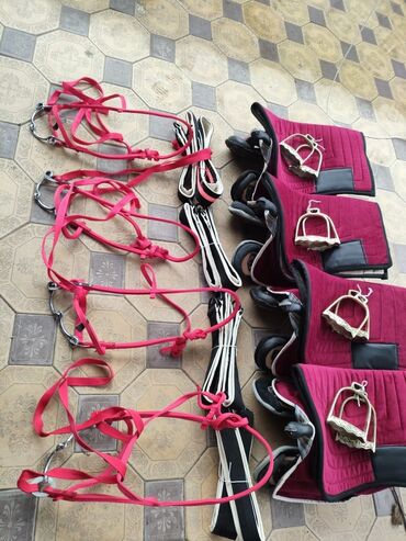 Товары и оборудование для с/х животных: Ээр,токум,тердик,ат жабуу,така мык,аркан,ремень,мешок,картошка — 3