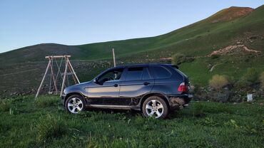 автомат бмв: BMW X5: 2002 г., 3 л, Автомат, Газ, Кроссовер