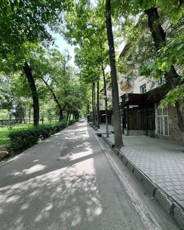 арендовать квартиру для офиса: 1 бөлмө, 30 кв. м, 4 кабат, Евроремонт