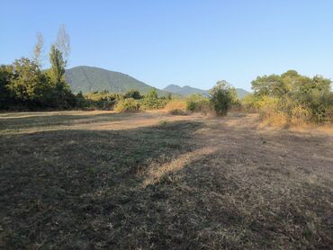 Torpaq sahələrinin satışı: 21 sot, Tikinti, Mülkiyyətçi, Kupça (Çıxarış) — 10