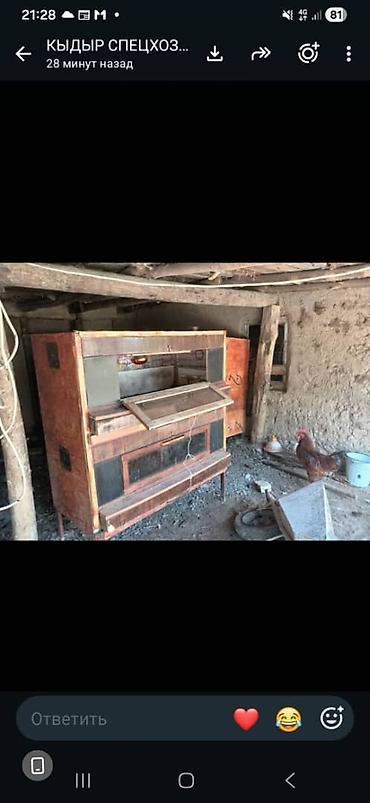 Бизнес үчүн жабдуулар: Инкубаторы для яиц + брудер/клетка для молодняка птицы Комплект — 4
