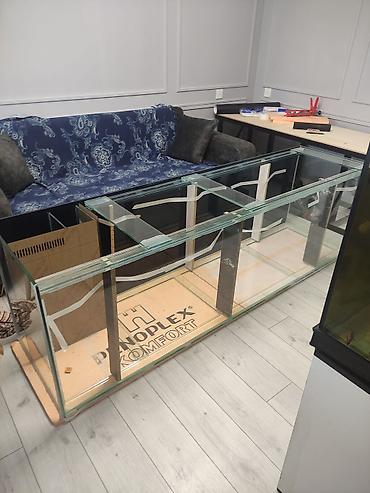 aqvarium: Akvarium-şkaf, Balıqlarla birlikdə, 1000000 l, Rayonlara çatdırılma, Ünvandan götürmə, Pulsuz çatdırılma — 4