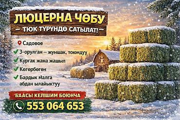 Корма для с/х животных: Сено люцерны в тюках - 3-й укос: мягкое и питательное - Сухое и — 10