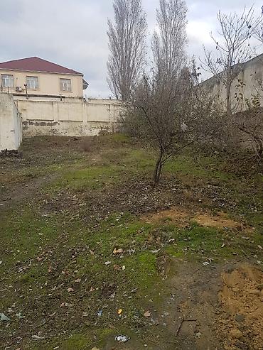 Torpaq sahələrinin satışı: 9 sot, Tikinti, Mülkiyyətçi, Kupça (Çıxarış) — 9