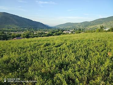cıxarış nədir: 15 sot, Tikinti, Mülkiyyətçi, Kupça (Çıxarış) — 1