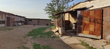 Сельхоз предприятия: Продается Кашара Фермерское- хозяйство с действующим бизнесом и с — 10