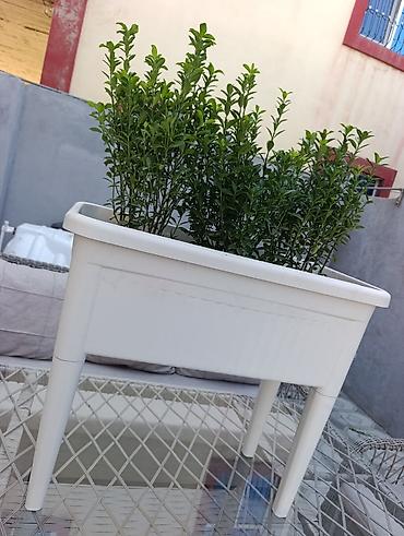 Digər daşınmaz kommersiya əmlakı icarəsi: Bag evlərinə villalara həyət evlərinə, bina evlərinə baglarina -da lalafo.az — 17 Digər daşınmaz kommersiya əmlakı icarəsi: Bag evlərinə villalara həyət evlərinə, bina evlərinə baglarina — 17