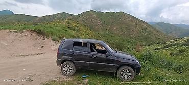 арзан нива: Chevrolet Niva: 2006 г., 1.7 л, Механика, Бензин, Кроссовер — 5