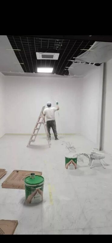 Покраска: Покраска стен, Больше 6 лет опыта — 5