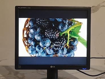 Мониторы: Монитор, LG, Б/у, LCD, 17" - 18" — 2