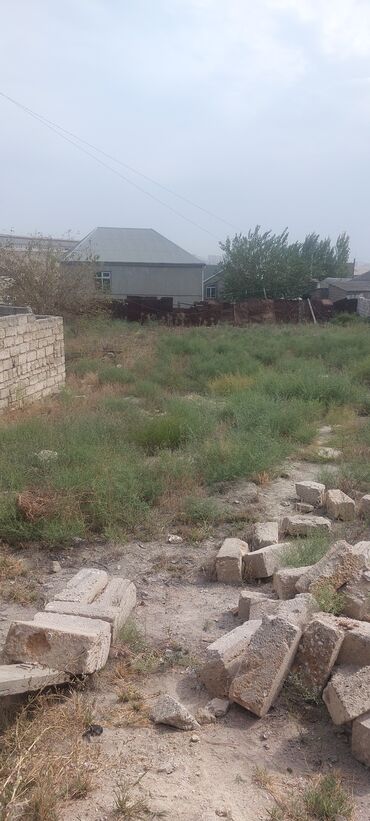 Torpaq sahələrinin satışı: 8 sot, Mülkiyyətçi, Bələdiyyə — 3