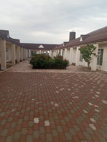 Иссык-Куль 2025: Коттедж, ЖОЛБОРС Тамчы — 8