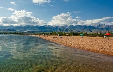 продаю участок на иссык куле село тамчы: 500 соток, Бизнес үчүн, Техпаспорт, Белек келишими