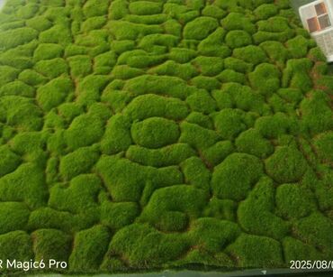 Digər bitkilər: Məhsul: Təbiətvi̇ zolaqlı yosun/mahov örtüyü – hazır plitələr Təsvir — 9