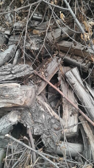 дрова в канте: Дрова Самовывоз