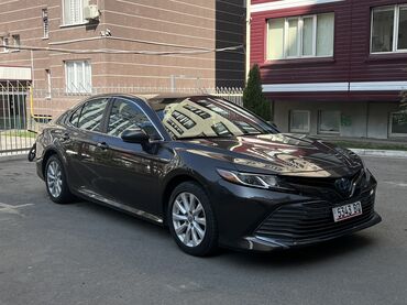 нексия машина цена: Toyota Camry: 2019 г., 2.5 л, Вариатор, Гибрид, Седан