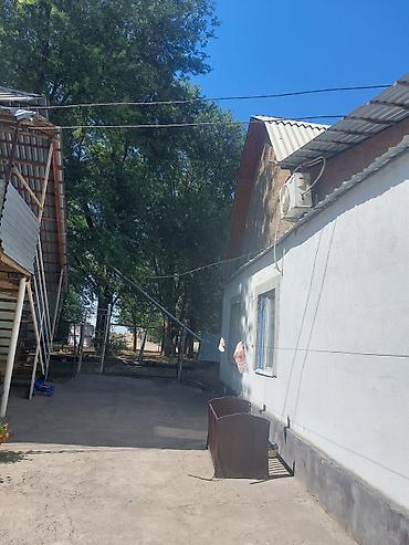 Долгосрочная аренда домов: Сдаётся/предлагается компактный жилой дом или квартира с аккуратной — 8