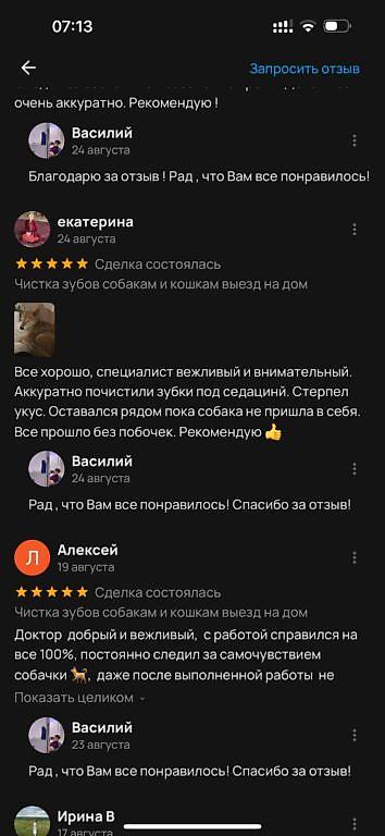 ветеринары: Ультразвуковая чистка зубов для собак и кошек на выезд! Здравствуйте! — 5