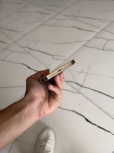 iphone 12 plus: IPhone 13 Pro Max, 256 GB, Rose Gold — 6
