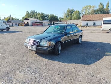 купить страуса цена: Mercedes-Benz 280: 1993 г., 2.8 л, Механика, Бензин, Седан