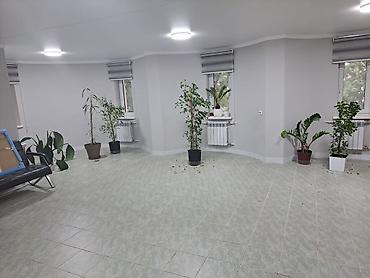 политех сдаю: Аренда офисов, 50 м², 1 линия, С отдельной кухней, С отдельным сан узлом — 3