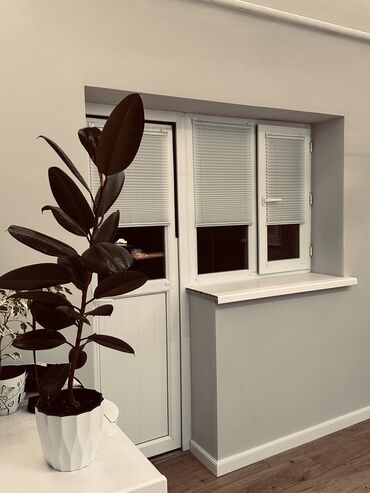 Жалюзи и рольшторы: Ролл-плиссе День-Ночь — идеальный контроль света. Под ваш размер — 13