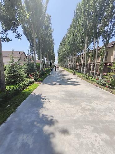 кв 2 комнатный: 2 комнаты, 40 м², 1 этаж, Евроремонт — 10