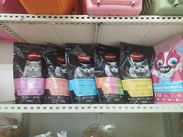 сухой корм для кошек: Kittylife Adult Sterilised Cat Food – Salmon Formula, 10 кг - Сухой — 8