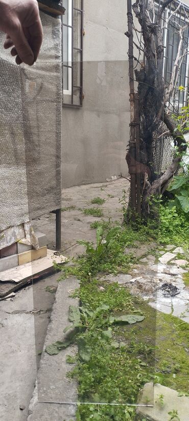 Готовые деревянные окна: Продаю стекло разный рисунок, отдам дёшево. есть целые листы и куски at lalafo.kg — 6 Готовые деревянные окна: Продаю стекло разный рисунок, отдам дёшево. есть целые листы и куски — 6