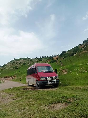 Автобус на заказ: Бус Трансфер Заказ 
Звоните Любое Время — 6