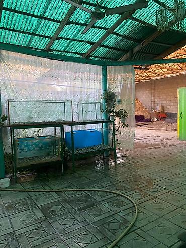 Аквариумдар: Стеклянные аквариумы крупного объема Описание: - Прямоугольные — 3