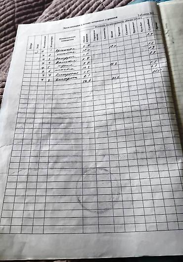 кв 2 комнатный: 2 комнаты, 56 м², Индивидуалка, 2 этаж, Старый ремонт — 8