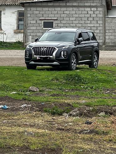 highlander 2012: Hyundai Palisade: 2019 г., 2.2 л, Автомат, Дизель, Внедорожник — 7