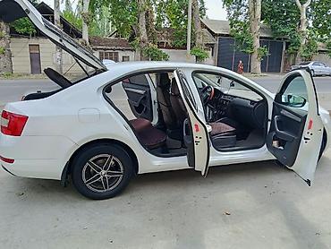 Skoda: Skoda Octavia: 2016 г., 1.6 л, Автомат, Бензин, Седан — 9