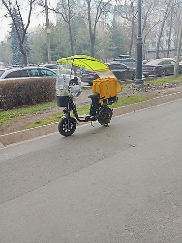 Электровелосипеды: Электро велик сатылат, 2 АКБ менен Находу✅ зонтиги менен +сумка — 1