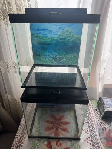 Akvariumlar: Akvaryum dəsti 1 akvaryum tezedi qalan herwey iwlenmiwdi ekseryeti az — 8